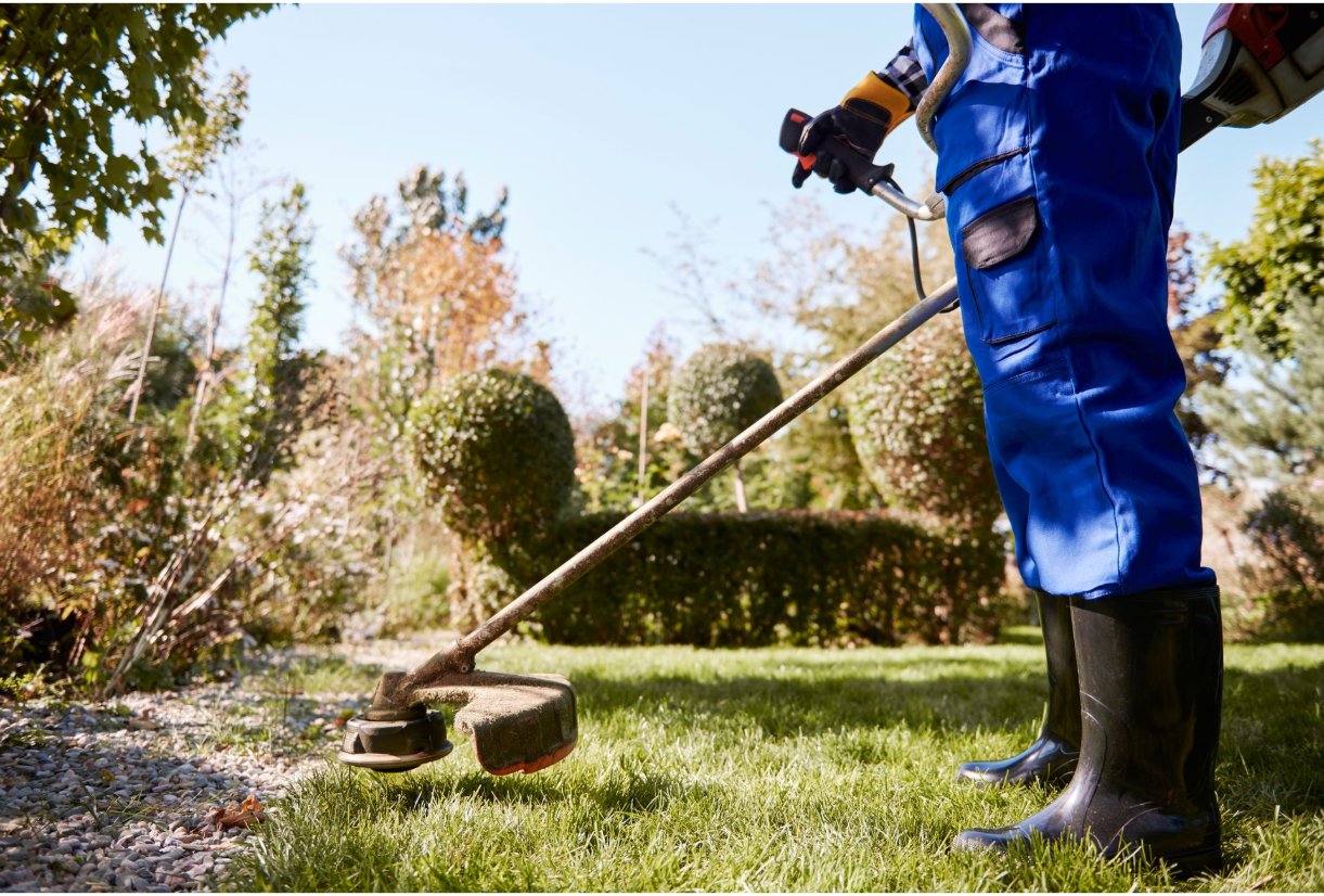 A person is using a lawn mower to cut the grass.