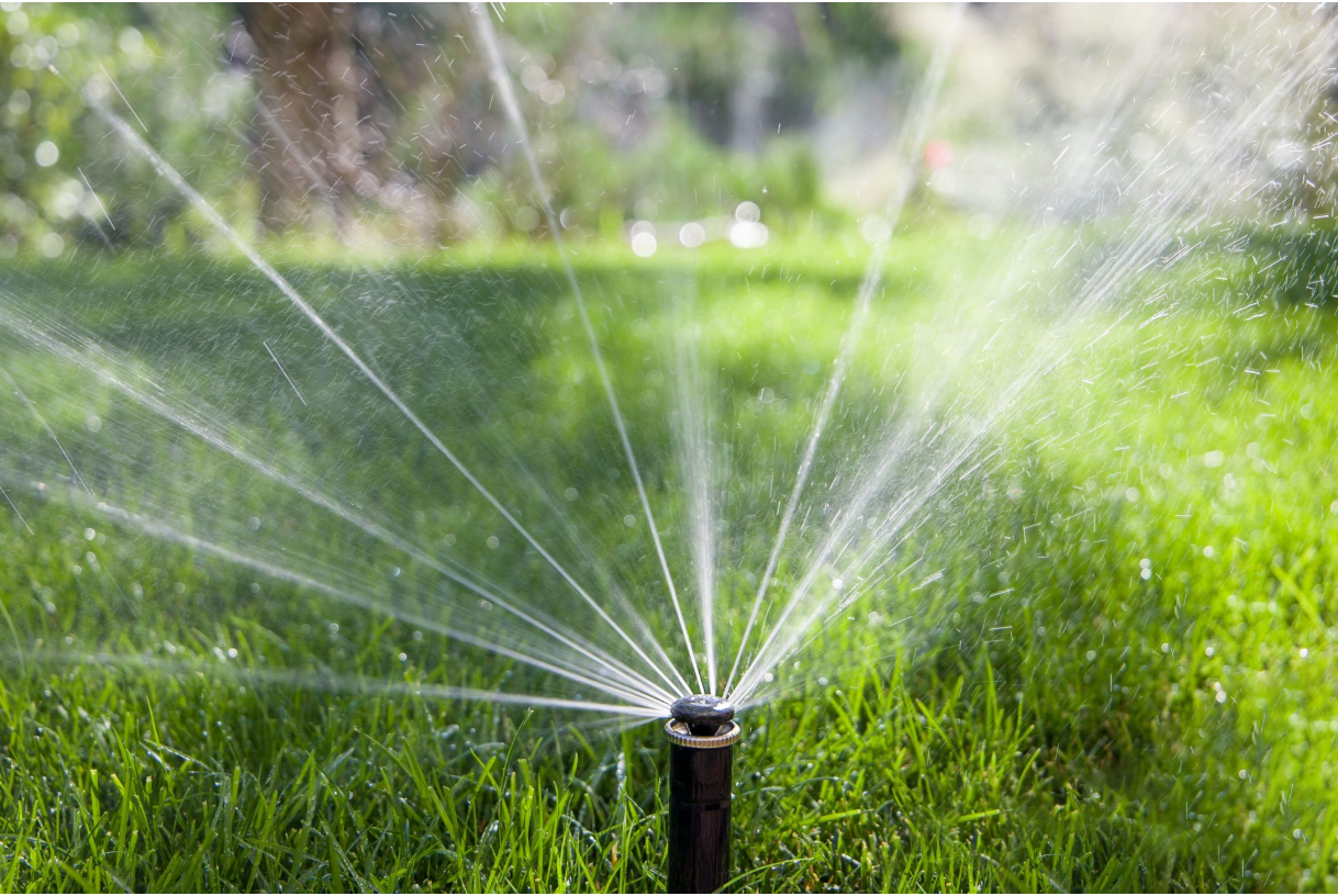 A sprinkler is spraying water on a lush green lawn.