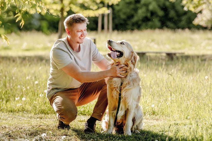 A man is kneeling down next to a dog in a park.