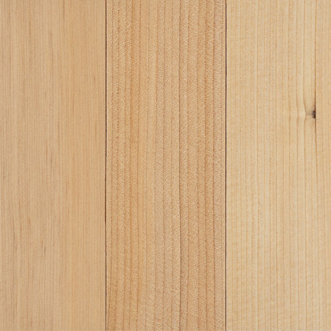 Hemlock