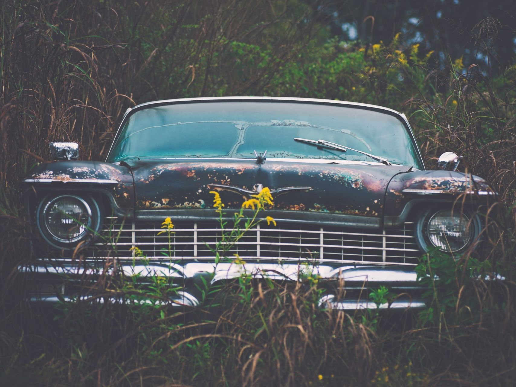 An old rusty car is parked in a field of tall grass.