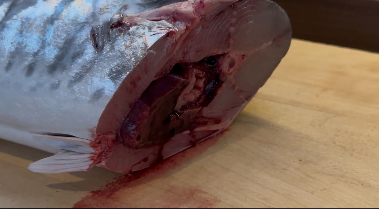 B案 (船釣、船抛土魠)