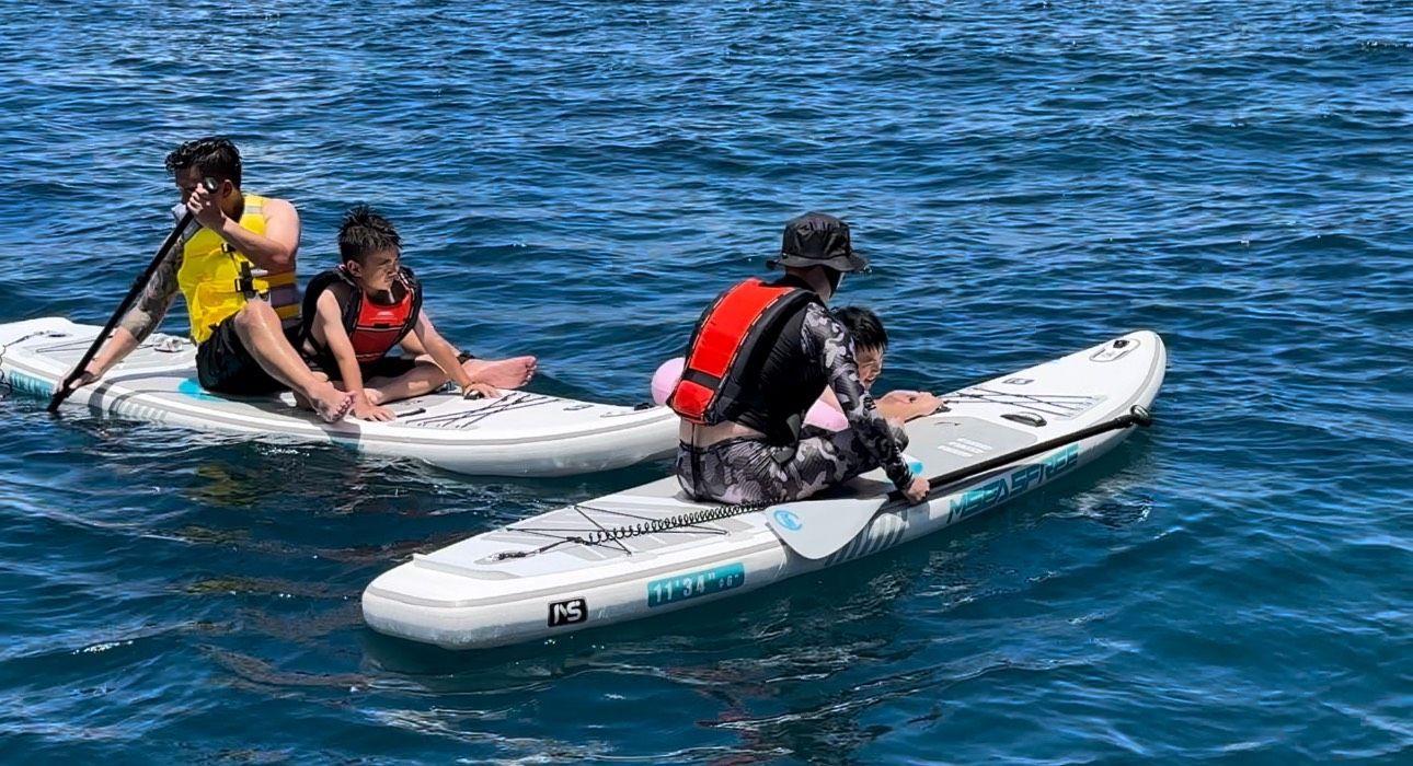 附加: SUP立槳衝浪板