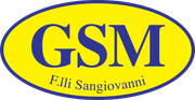 Gruppo GSM F.lli Sangiovanni – Logo
