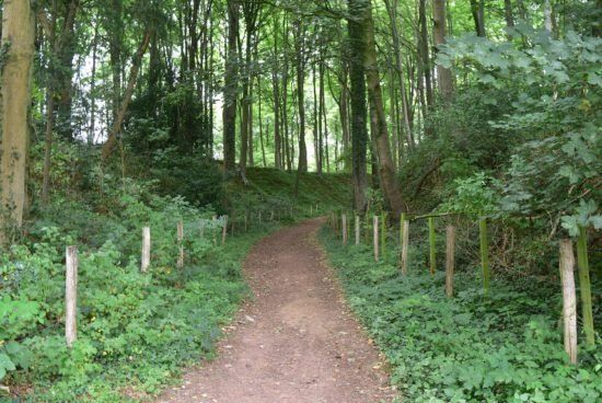 wandelpad in bos 't Ename