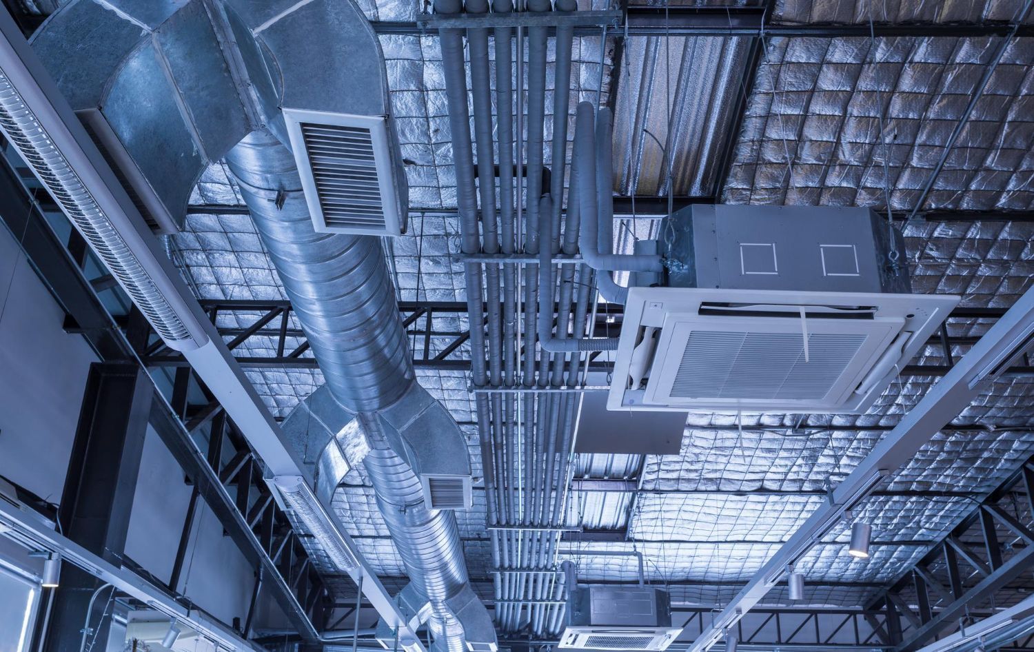 Industrial ceiling with exposed ducts, pipes, and vents in a blue-tinted utility space