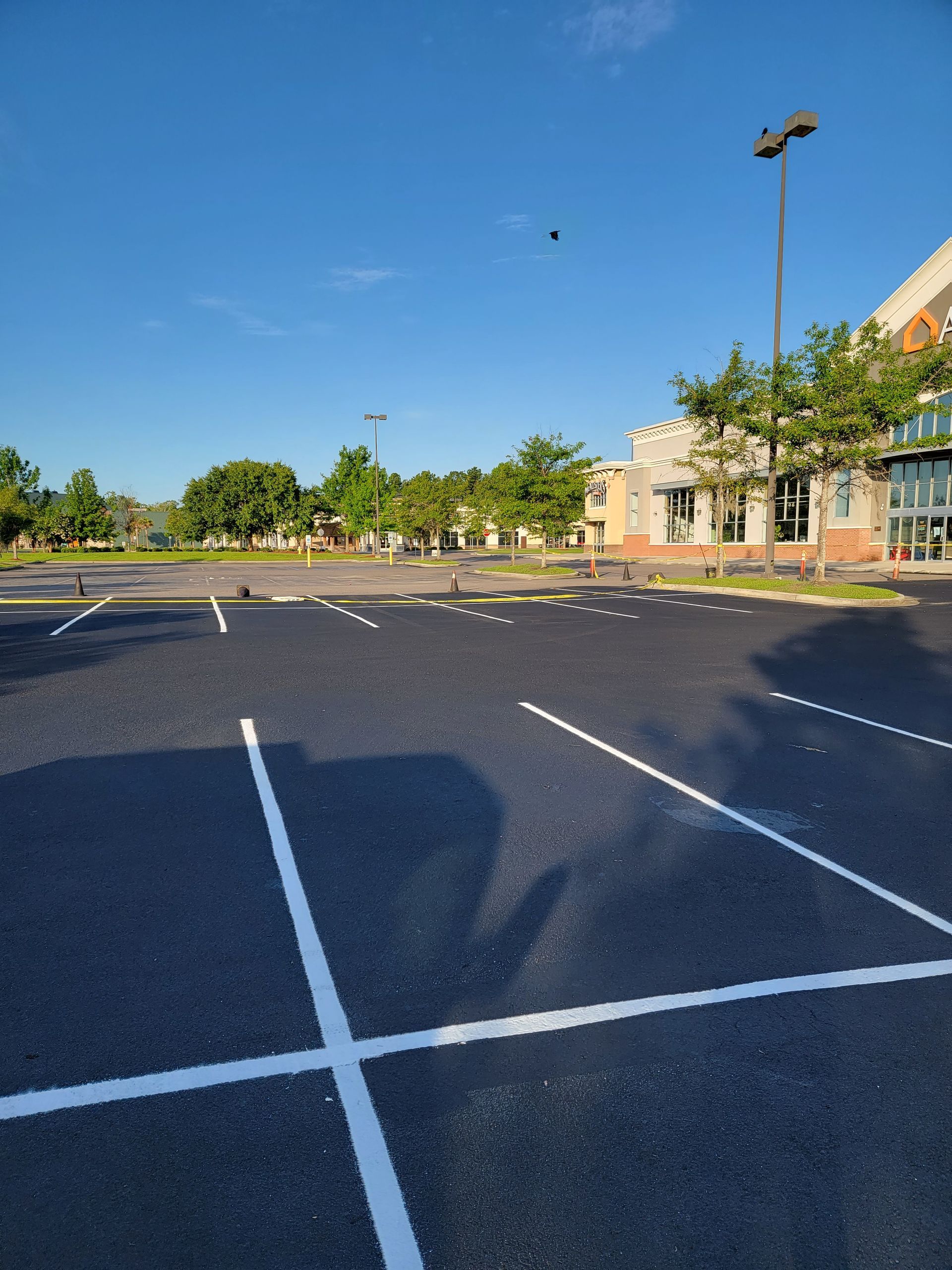 freshly-striped parking lot
