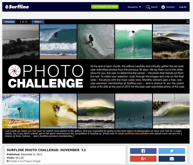 Surfline website on sale