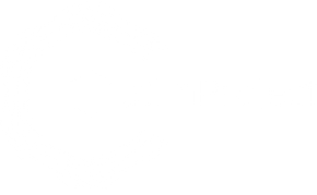 Logo OptimProject