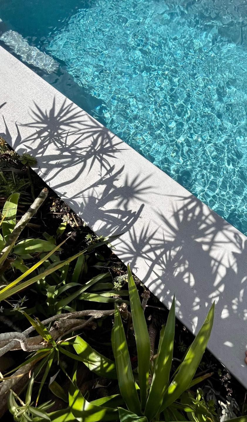 Poolside Scene: Blue Water, White Border, Green Plants — Clearwater Pools Hallidays Point in Diamond Beach, NSW