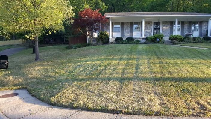 lawn care maintenance