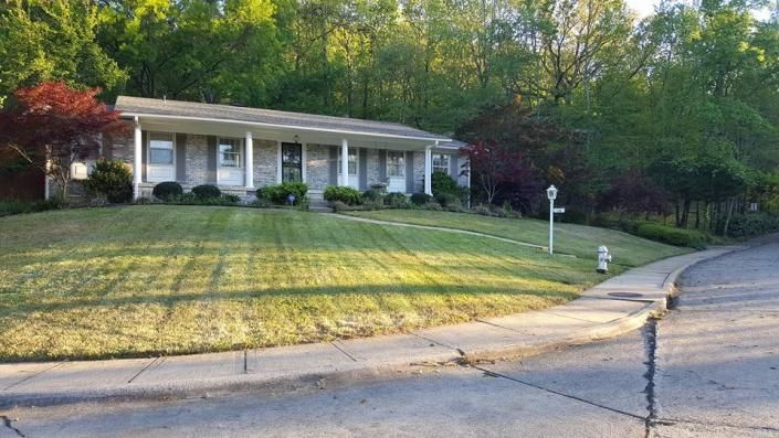 lawn care maintenance