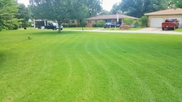 Lush green lawn with visible mowing stripes in front of houses on a sunny day.