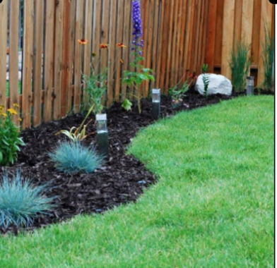 lawn care maintenance