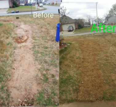 before & after lawn care