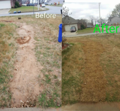 before & after yard
