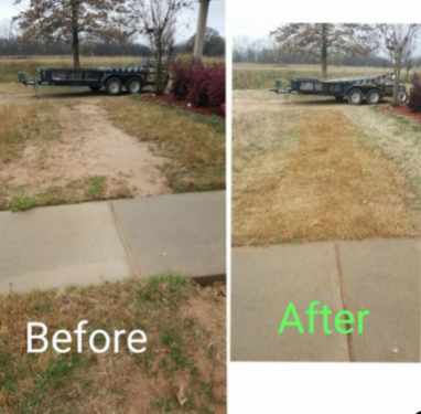 before & after yard