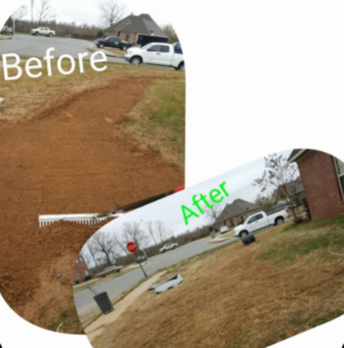 Before and after comparison: a yard path being transformed from bare dirt to grass.