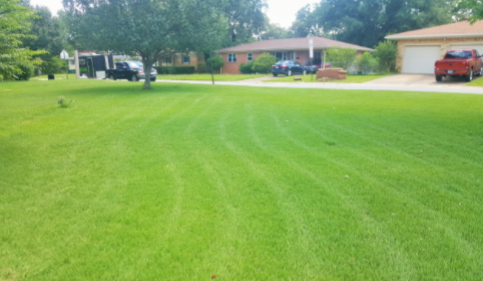 lawn care maintenance
