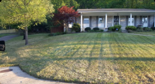 A house with a well-maintained lawn, trees, and landscaping under a blue sky.