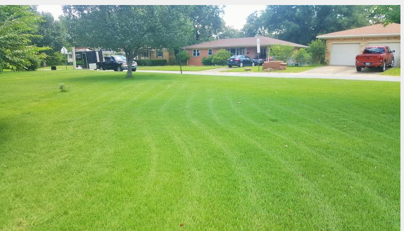 Green lawn with mowing stripes, houses in background.