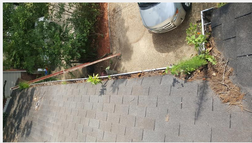 gutter cleaning