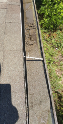 gutter cleaning