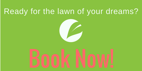 Green background with white logo and text: 