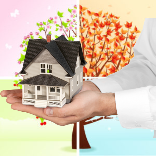 A person is holding a small house in their hands