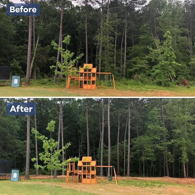 Before/After comparison: a cleared backyard area with a playset and surrounding trees.