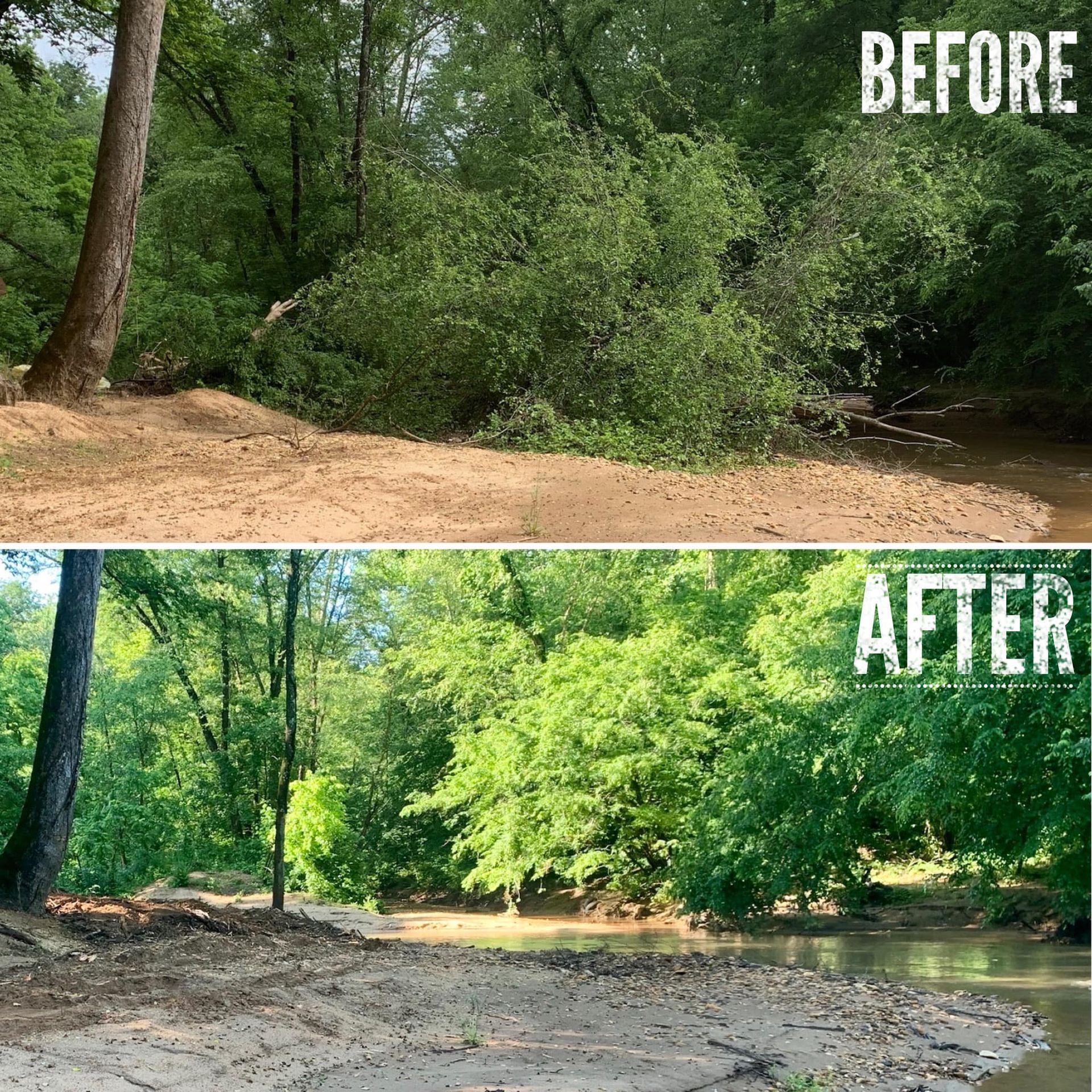 Before and after photos of a riverbank cleanup. Overgrown brush removed, revealing trees and clearer water.