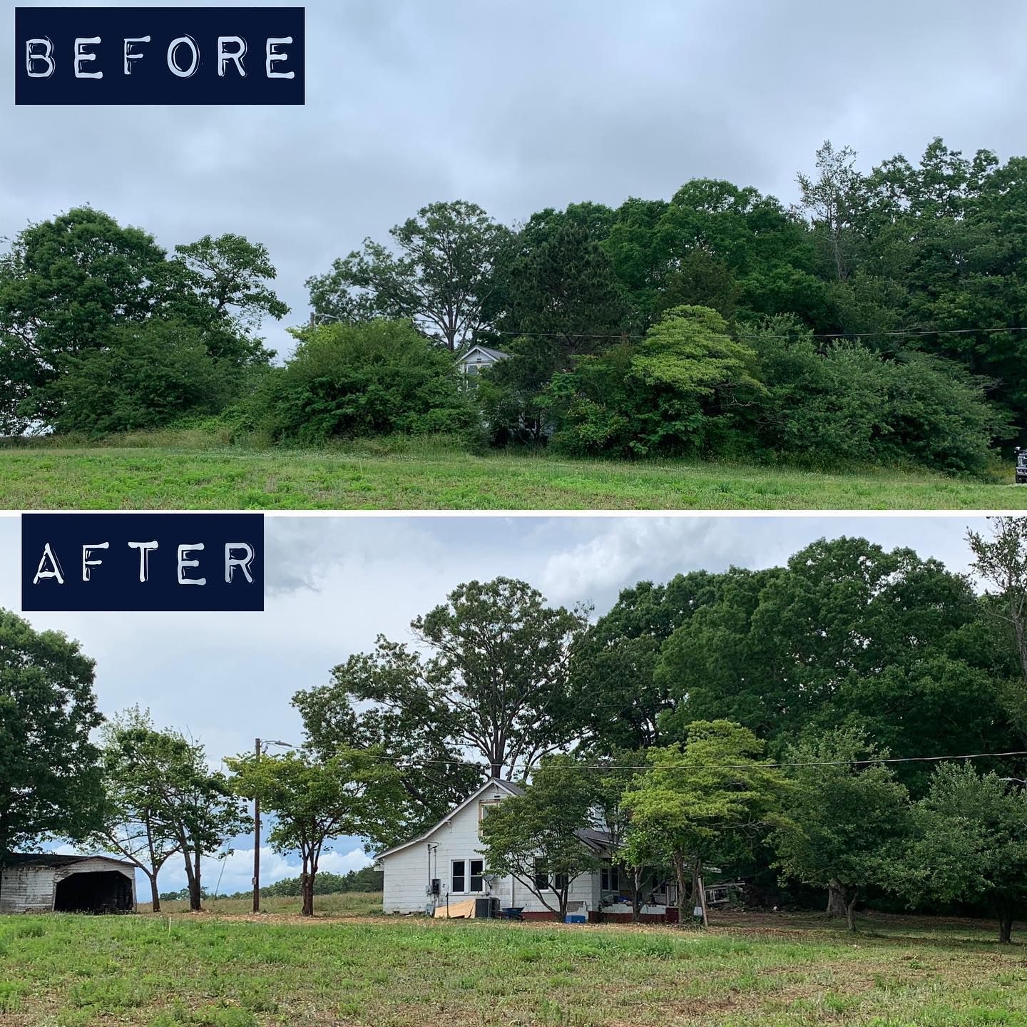 Side-by-side comparison shows a before and after of a property. Trees and brush were removed, revealing a white house and outbuilding.