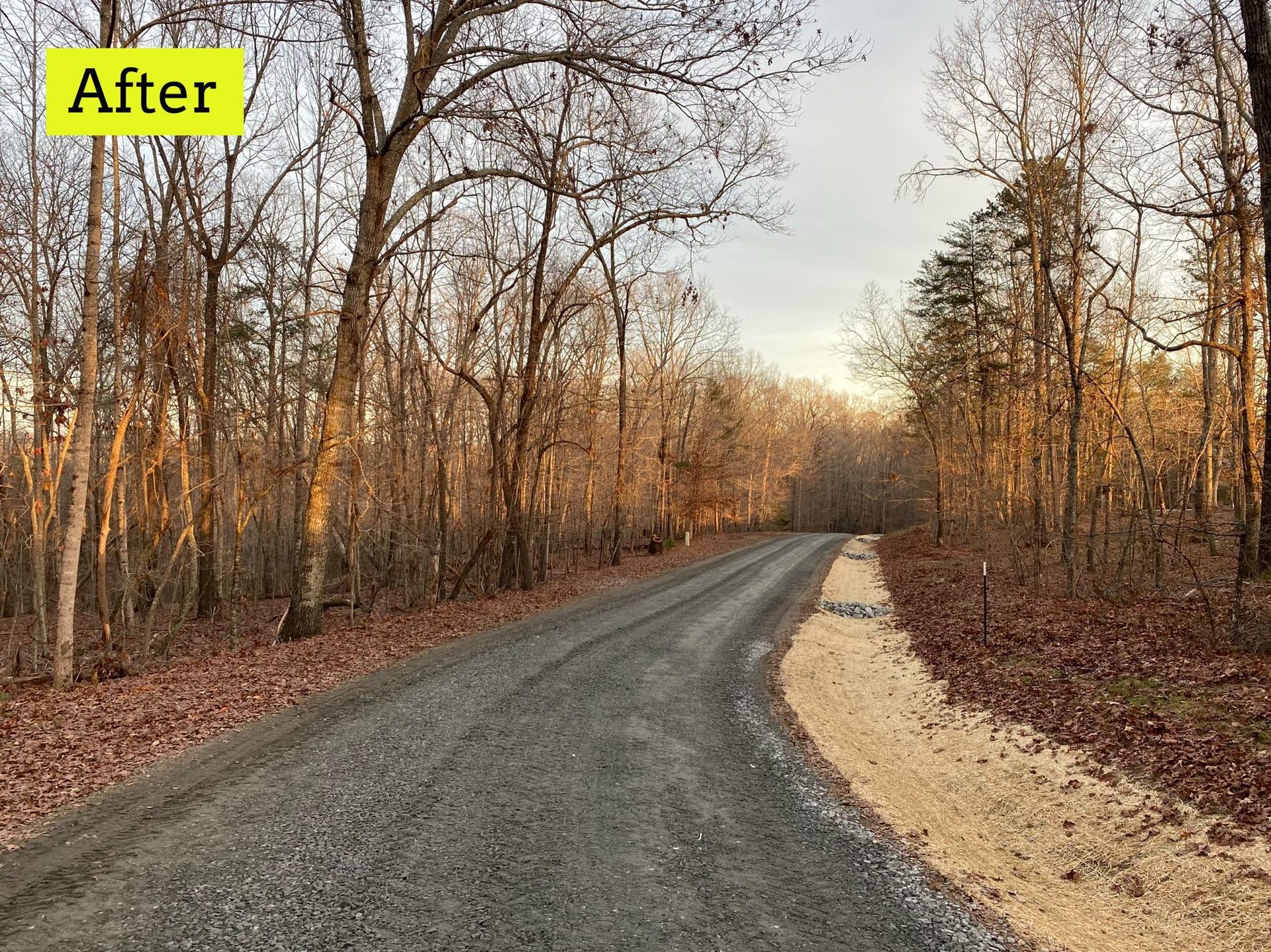 A gravel road curves through a leafless forest under a cloudy sky. 