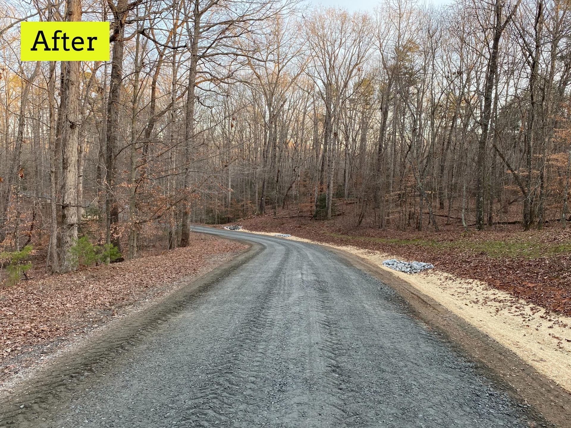 Gravel road winds through a forest of bare trees, 