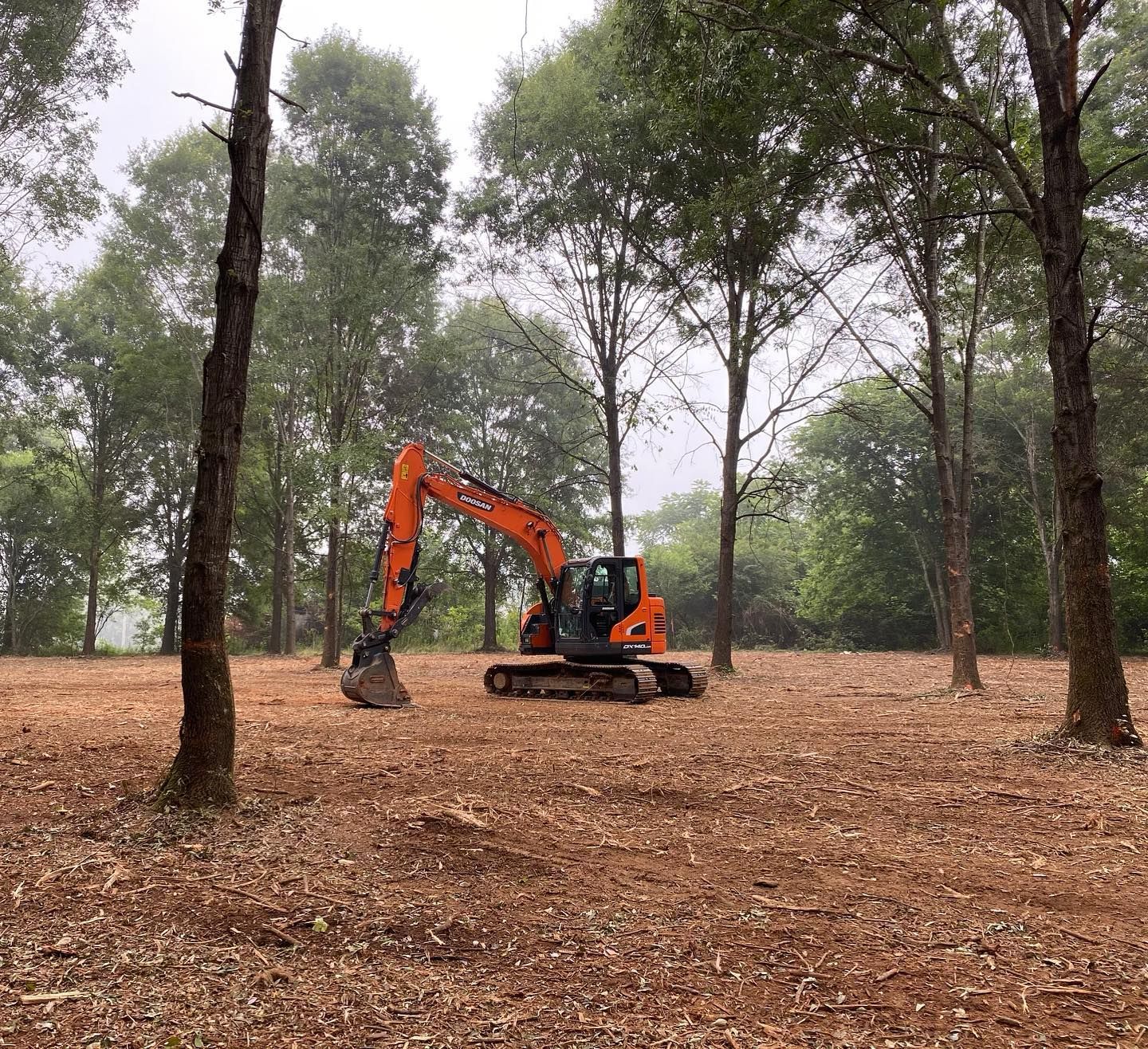 Orange excavator clearing land between trees.