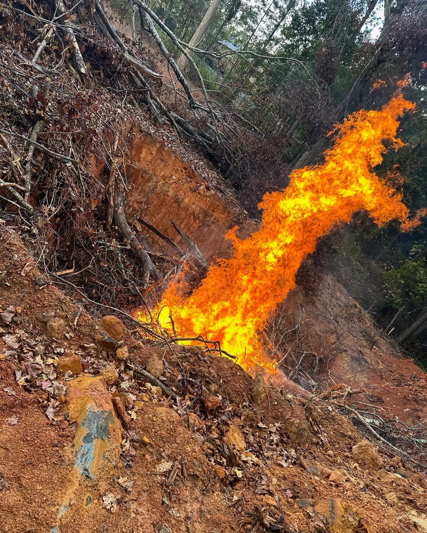 Flame erupts from a hillside with red clay soil. Branches and trees surround the fire, orange against the natural environment.