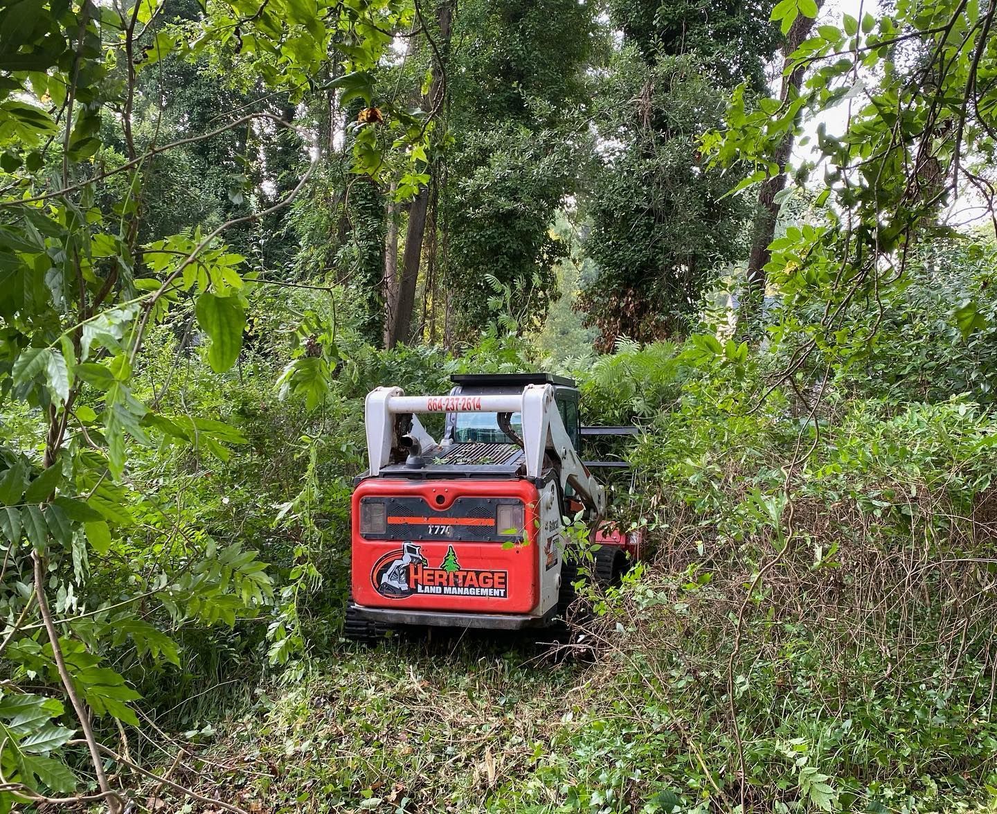 Red and white Bobcat clearing brush in a wooded area.