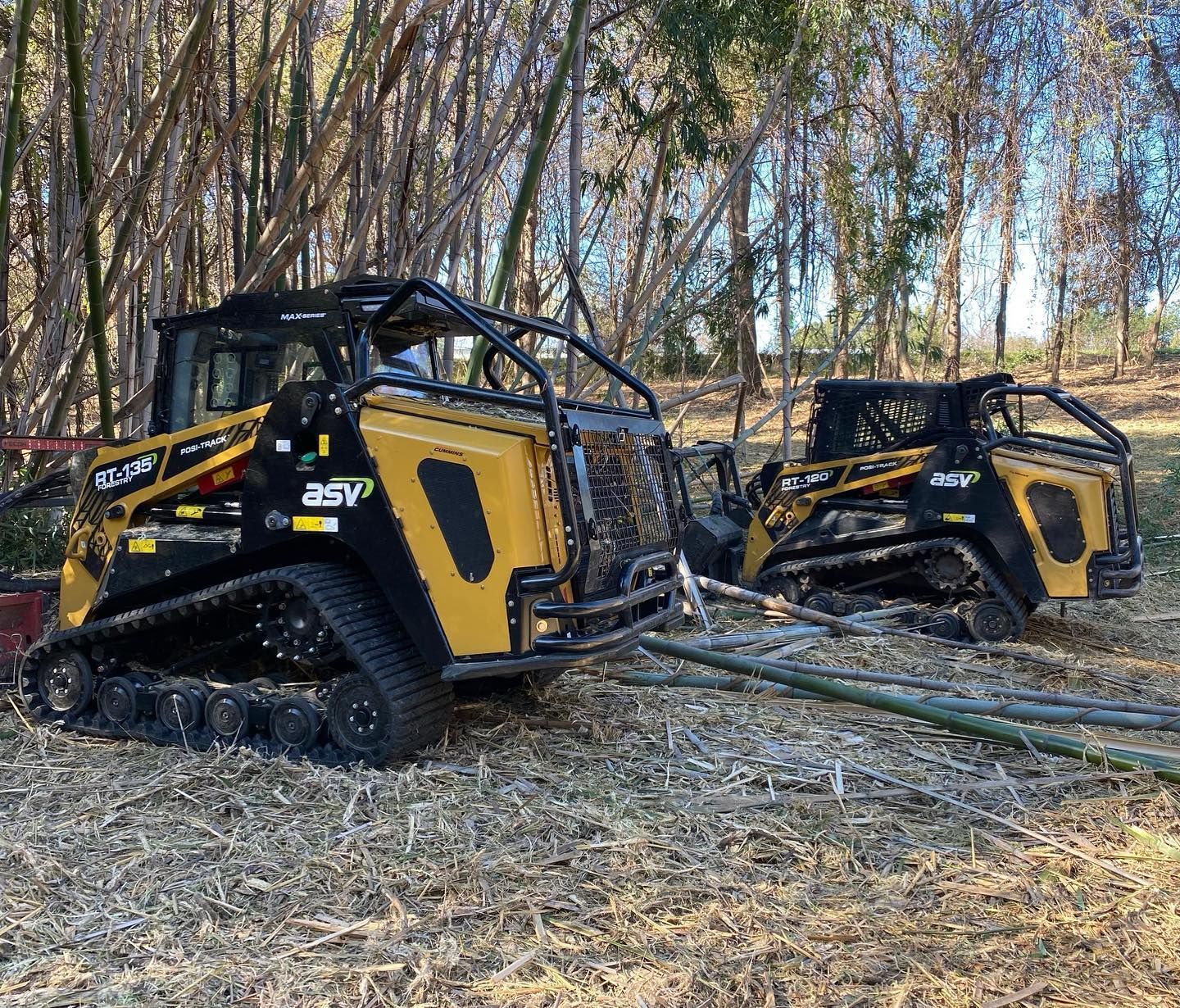 Two yellow and black tracked skid steer loaders in a wooded area.