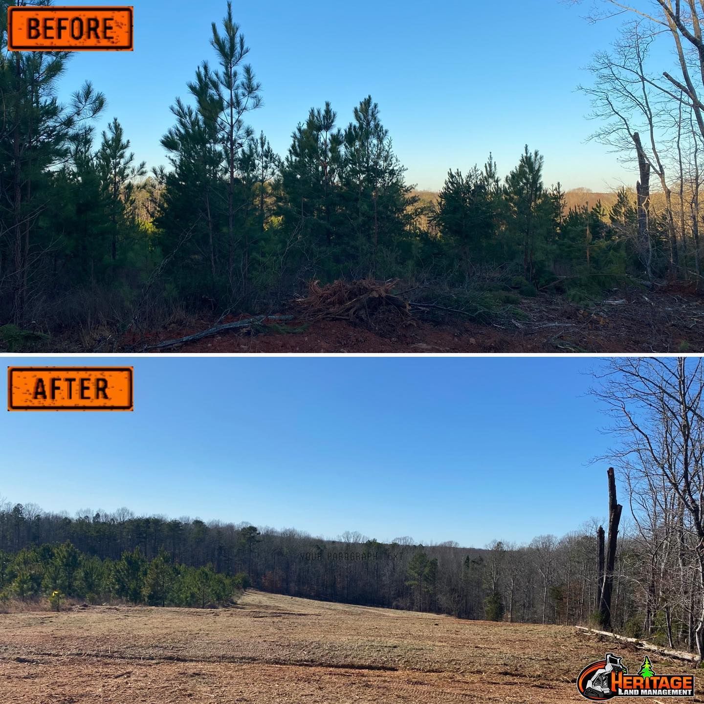 Before/after photo: Tree clearing. Top: wooded area. Bottom: cleared land, some trees remain.