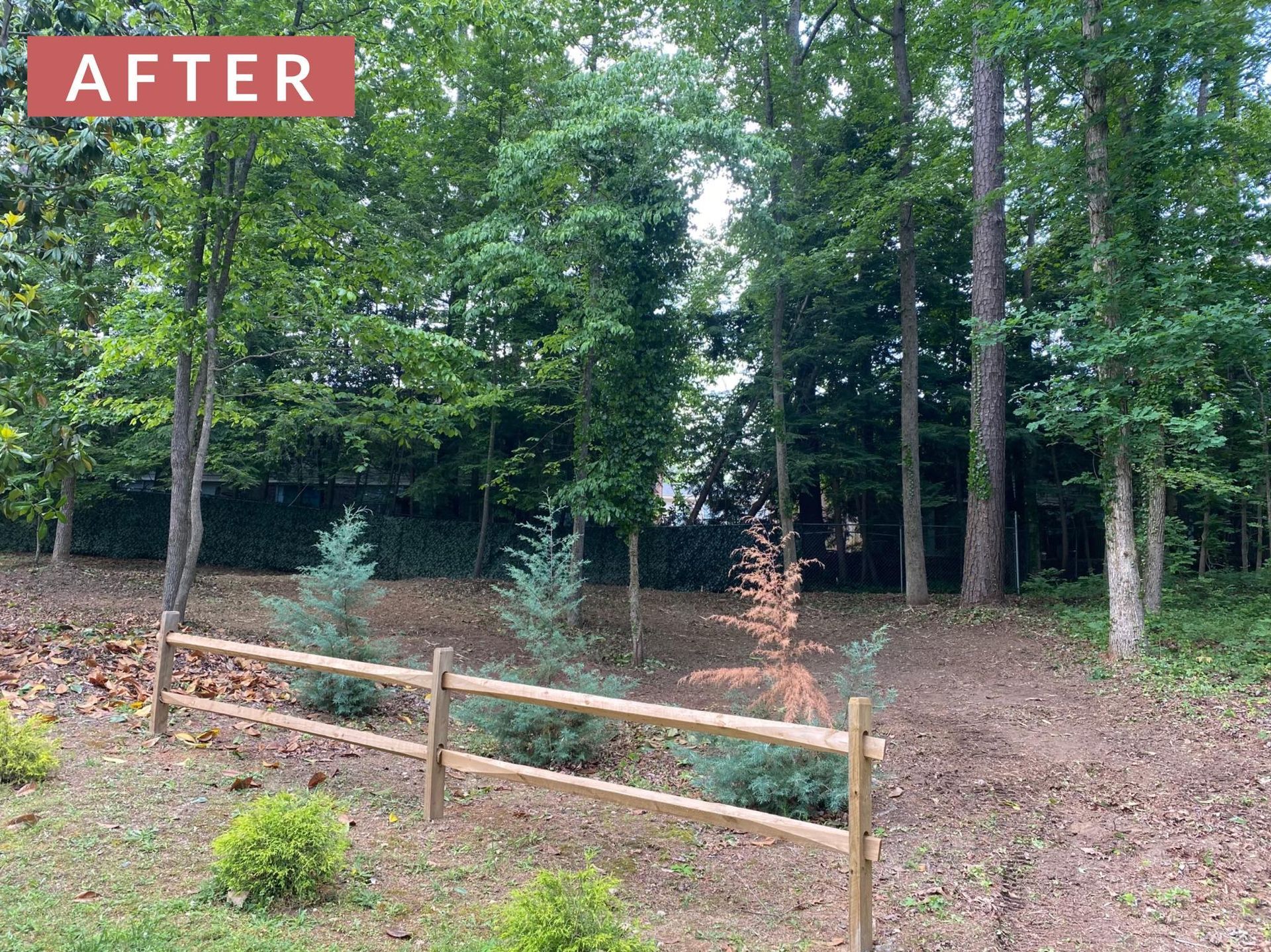 Wooden fence in front of trees, with 