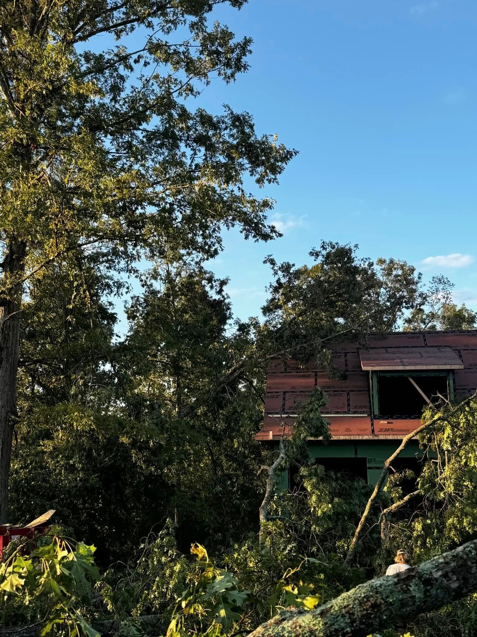 Trees obscure a house with a red roof under a blue sky.