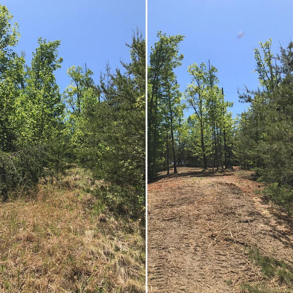 Before and after of a cleared path in a sunny forest, revealing brown earth where tall grass once stood.