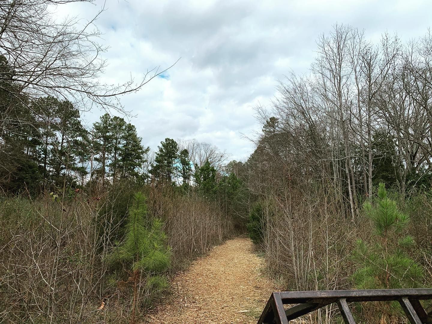 A path through a wooded area with trees and brush under a cloudy sky.