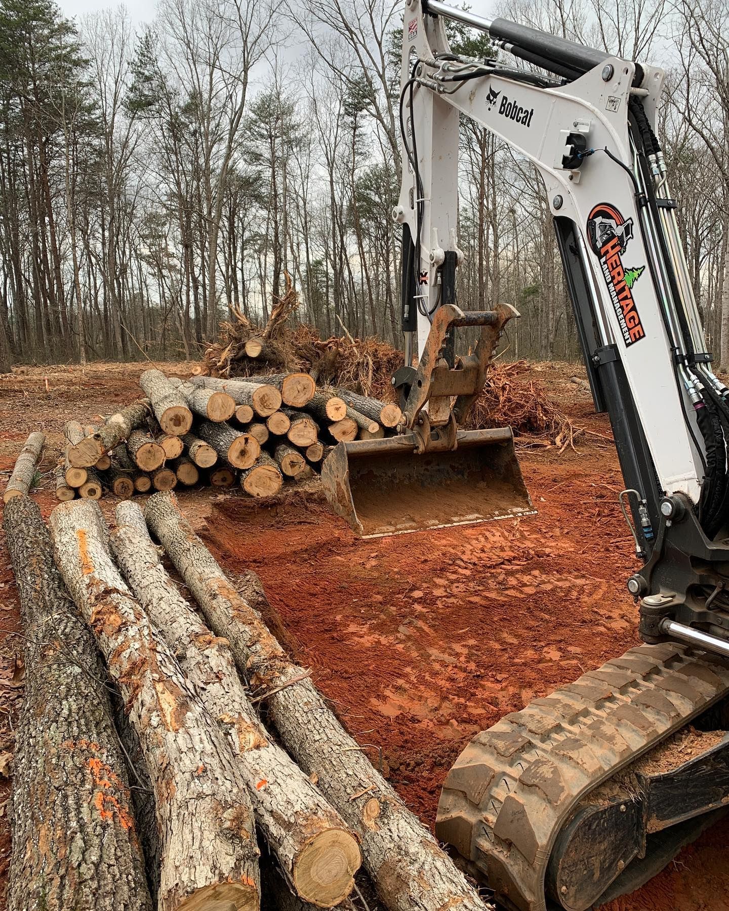 Excavator moving logs on a red clay site with a pile of cut trees in the background.