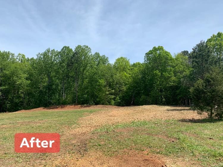 Cleared land with brown soil in foreground, green trees and blue sky background.