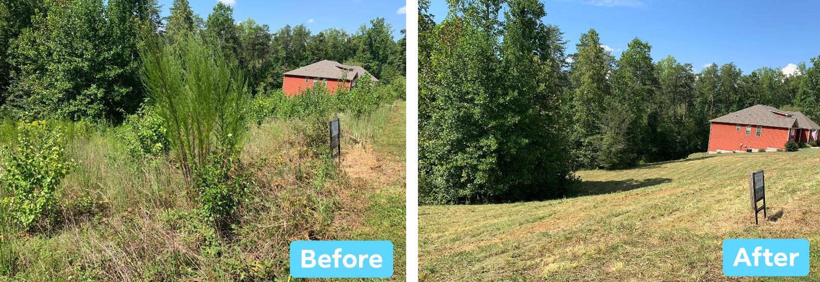 Before and after lawn mowing: overgrown grass cleared to reveal a house and trees under a blue sky.