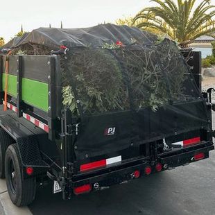 a Bakersfield dumpster trailer filled with branches and leaves is parked on the side of the road .