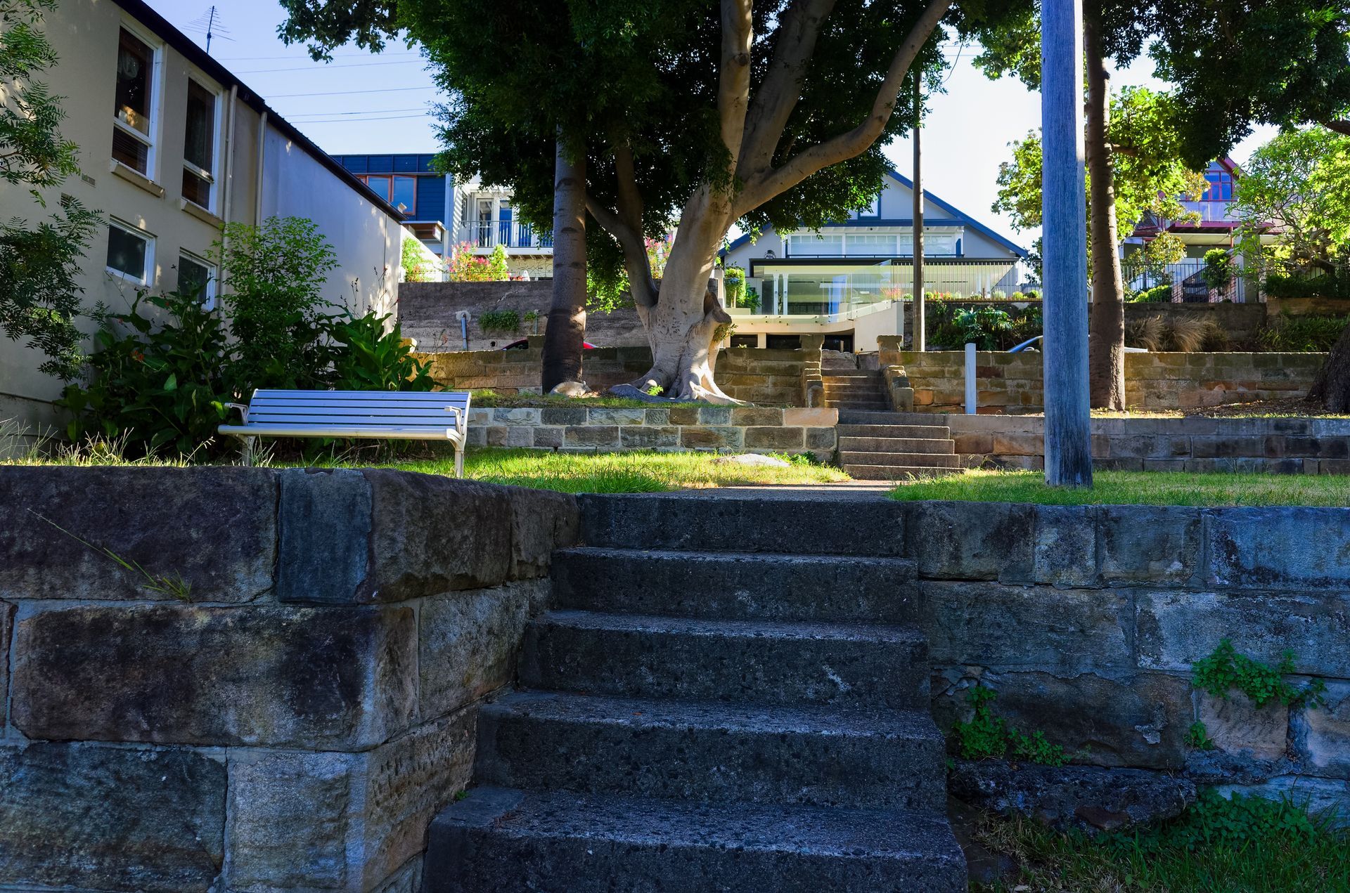 Tree Removal — Leppington, NSW — Shane & Catherine’s Tree Service