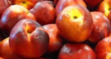 Batsafe Vilass Pty Ltd