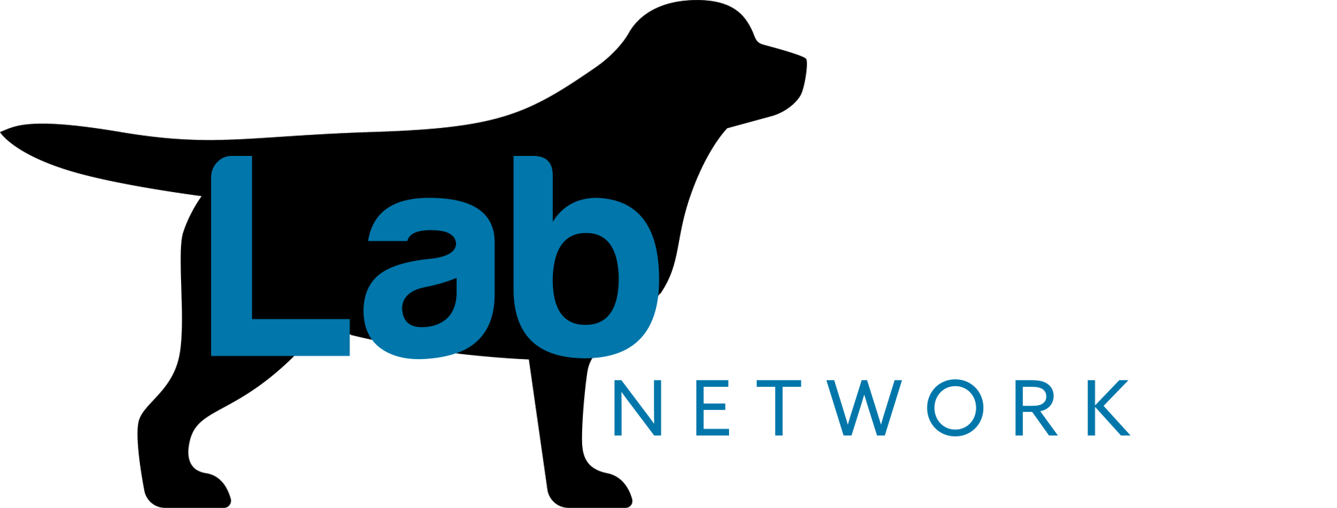 Am CH/ Int CH Starneos Oscar For Starlight Lab's